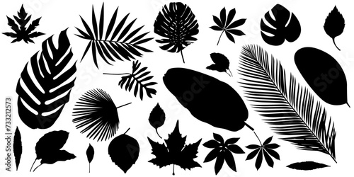 set of abstract foliage silhouette elements isolated on a white background.  collection of leaf silhouettes, banana leaves, tropical leaves, cassava leaves, papaya leaves and others.