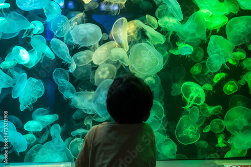 Asian boy looking at blue-green jellyfish in a marine aquarium