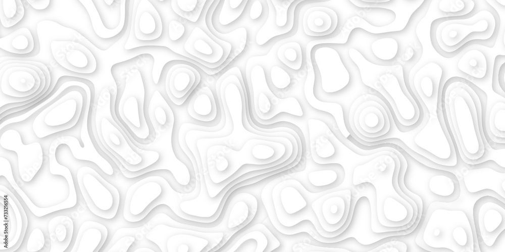 Abstract geometric layered curve line white background. 3d white papercut topography relief. Cover layout template. paper cut topography soft background banner texture. light liquid wave illustration. Abstract geometric layered curve line white background. 3d white papercut topography relief. Cover layout template. paper cut topography soft background banner texture. light liquid wave illustration.
