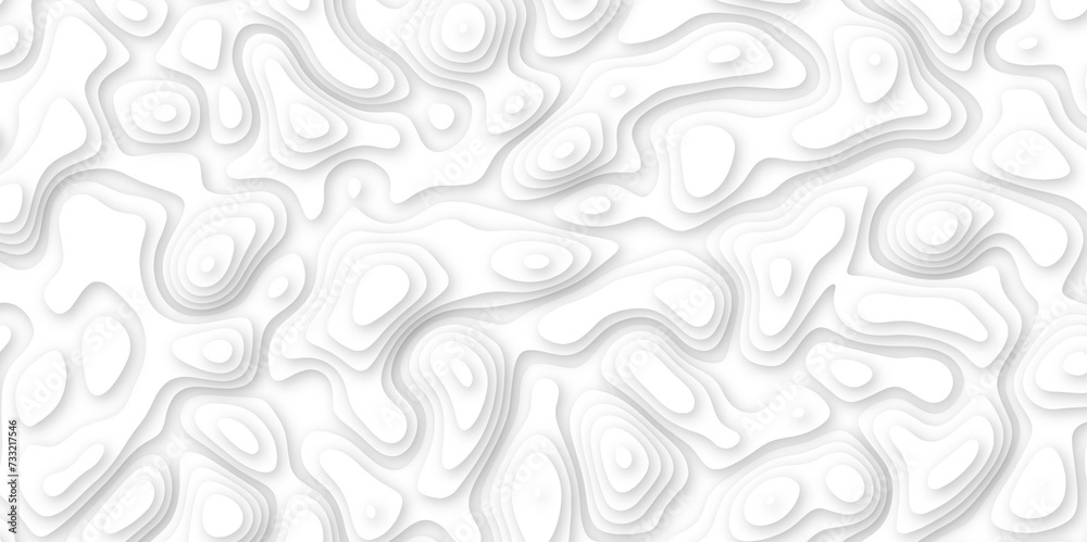 Abstract geometric layered curve line white background. 3d white papercut topography relief. Cover layout template. paper cut topography soft background banner texture. light liquid wave illustration. Abstract geometric layered curve line white background. 3d white papercut topography relief. Cover layout template. paper cut topography soft background banner texture. light liquid wave illustration.