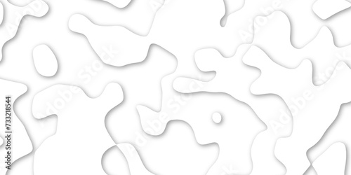 white paper and relief wave and cruve line paper cut background. soft white color seamless pattern, vector illustration, multi layer cutout banner design. topo counter map in 3d view.
