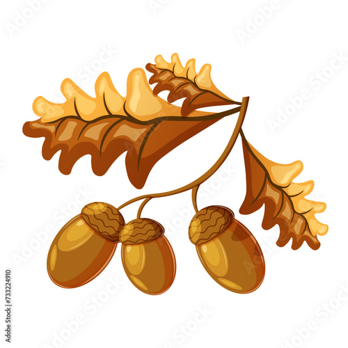 cute autumn acorns on an oak branch