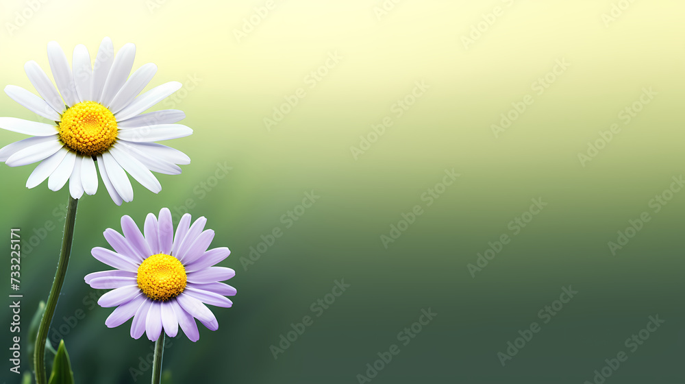 Spring nature background, ecology and healthy environment concept Spring nature background, ecology and healthy environment concept