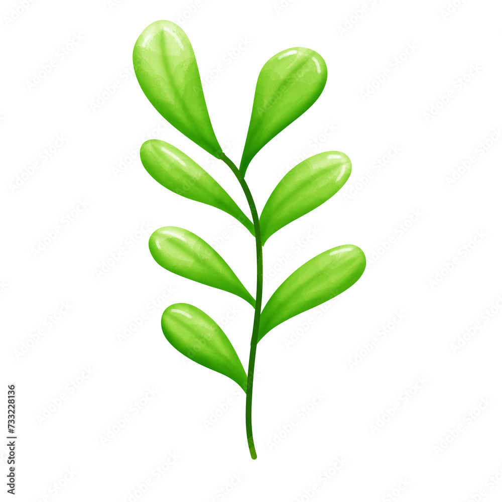 Fototapeta premium green leaf isolated on white background