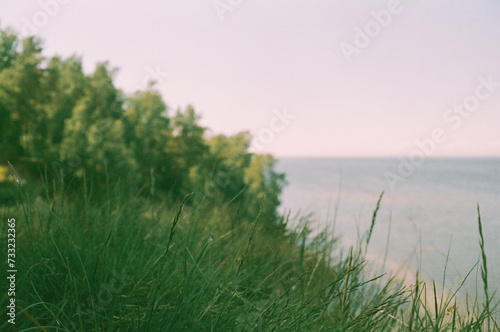 Summer green grass on the lake shore - film photography 