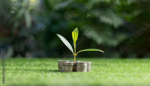 Green business growth and sustainable energy concepts. Finance sustainable development. Investing in renewable energy. Showing financial developments and business growth with growing tree on coin.