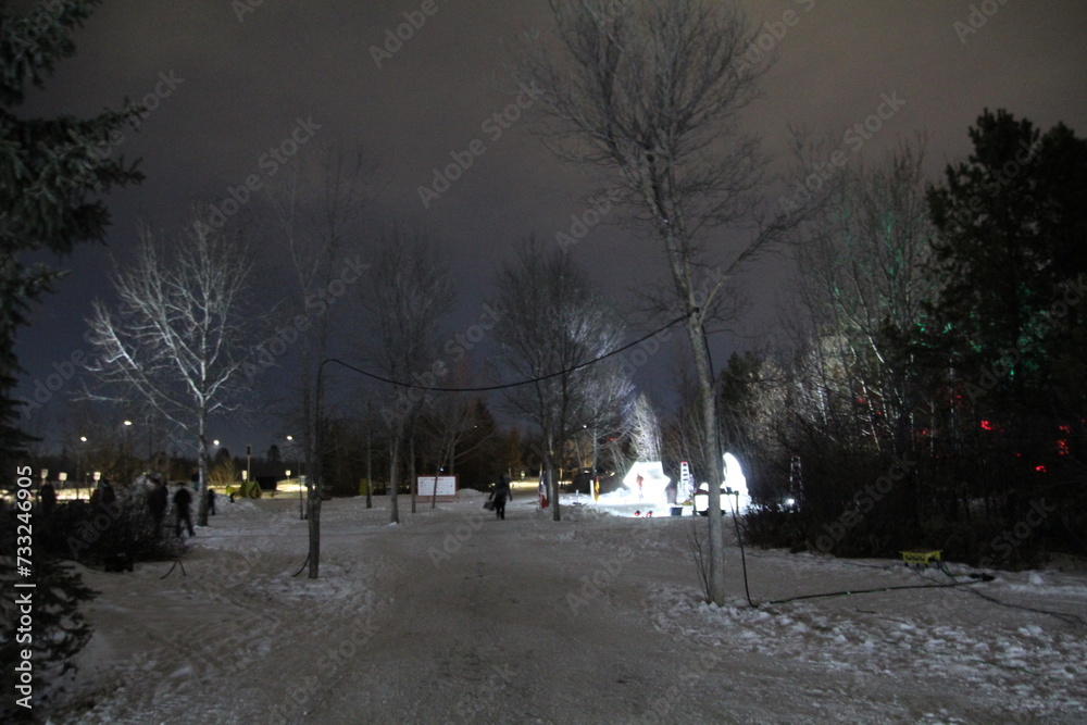Park At Night, Silver Skate Festival, Sir Wilfrid Laurier Park, Edmonton, Alberta Park At Night, Silver Skate Festival, Sir Wilfrid Laurier Park, Edmonton, Alberta