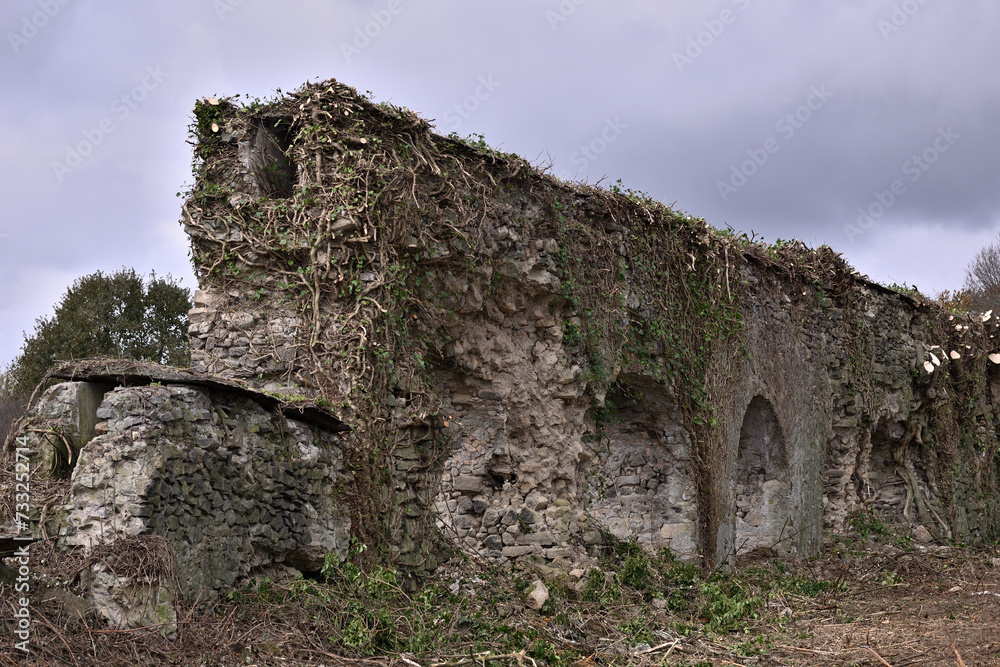 Detail of abandoned ancient Roman aqueduct with plant roots