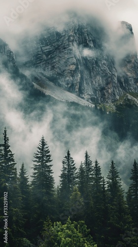 Stylish wallpaper background for your phone with a landscape of forest mountains in the fog