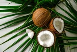 Fresh coconuts and palm leaves on white background