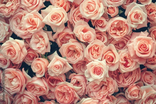Pastel pink roses pattern texture background. Flower wallpaper. Valentine's day backdrop. Vintage