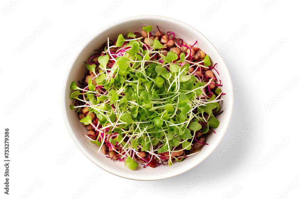 Mixed salad of sprouted grains and microgreens in a bowl Mixed salad of sprouted grains and microgreens in a bowl