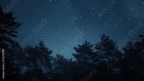 the night sky is full of stars and the trees are silhouetted against the dark blue of the night sky.
