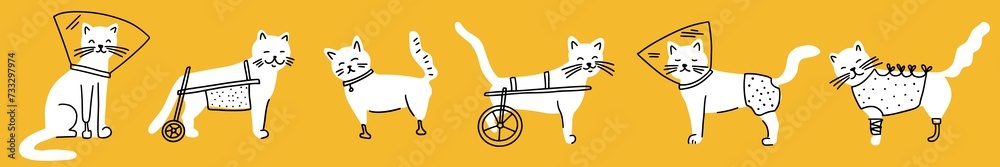 Vector horizontal illustration of a set of different disabled cats, hand-drawn in the style of doodles Vector horizontal illustration of a set of different disabled cats, hand-drawn in the style of doodles