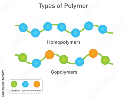 Homopolymers consist of identical monomers, while copolymers combine different monomers for diverse material properties. photo