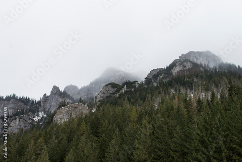 Zamglone górskie szczyty w tatrach photo
