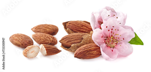 Almonds nuts with flowers