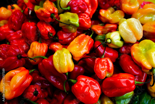 Colorful paprika or pepper chili background.