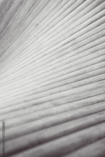 Black and white abstract background from wooden panels.