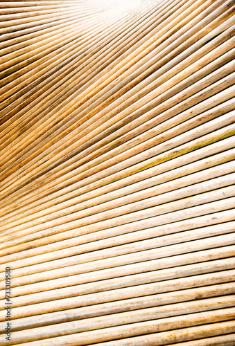 Abstract background from wooden panels.