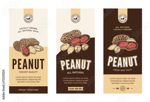 Vector peanut labels in modern style. Vector peanut nut illustrations