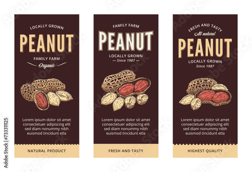 Vector peanut labels in modern style. Vector peanut nut illustrations