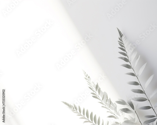 Blurred shadow of plant leaves on the white wall background