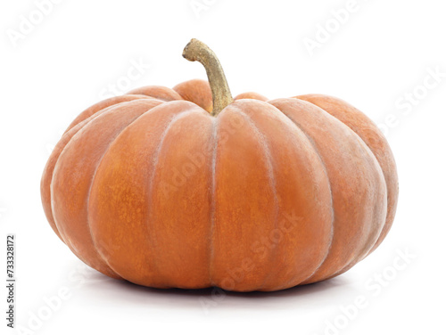 One whole pumpkin.