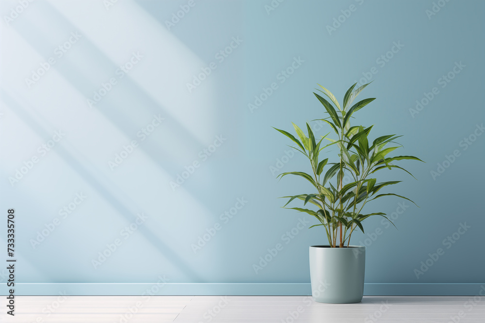 Potted plant standing against light blue wall under bright sunlight, photo with space for text. Suitable for banners, flyers, business cards, website backgrounds and promotional materials