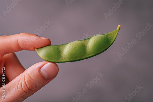 Hand holding edamame fruit isolated on gray background with copy space photo