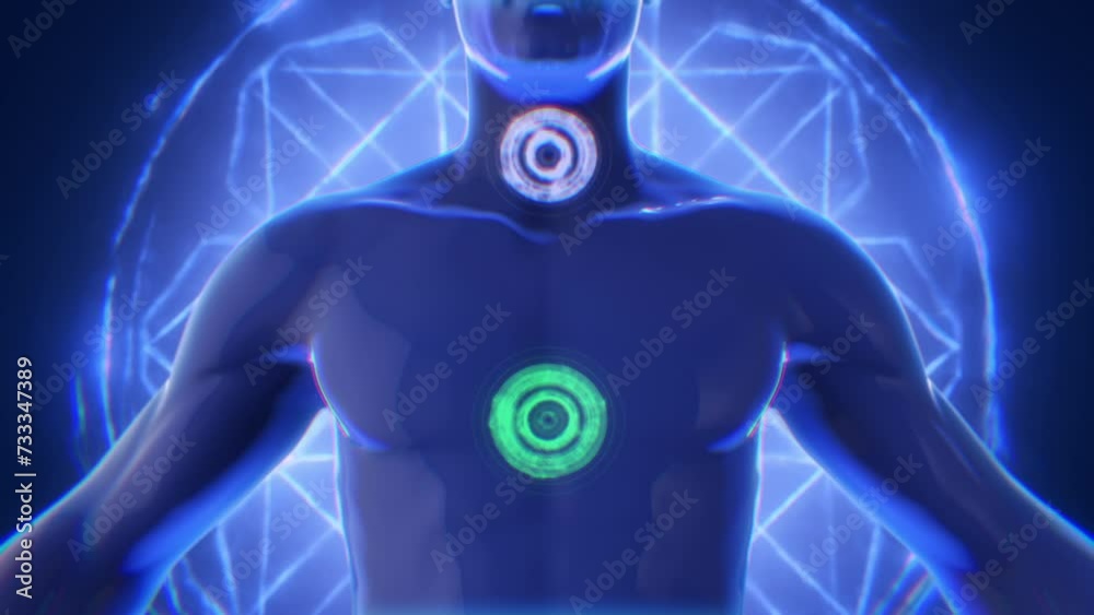 Human Chakra Points