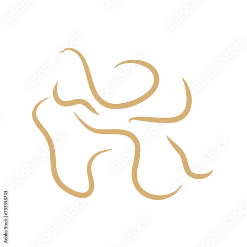 hand drawn worm parasites photo