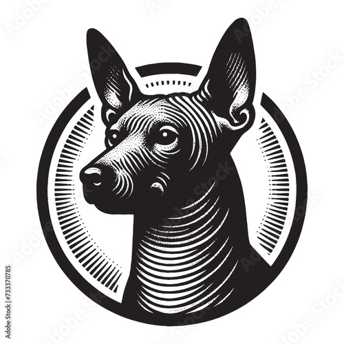 American Hairless Terrier dog. Vintage engraving vector illustration. Woodcut. Black and white. Logo, emblem, icon. Isolated object photo