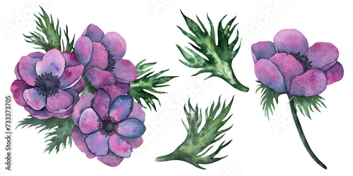 anemone flowers  leaves and bouquet in Bright purple colors. Hand drawn Watercolor floral illustration isolated on white. Botanical art for wedding anniversary  birthday  invitations.