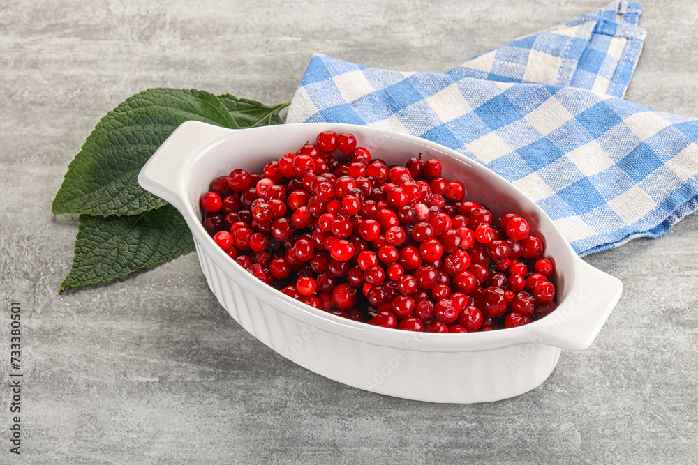 Ripe sweet wild organic cowberry Ripe sweet wild organic cowberry