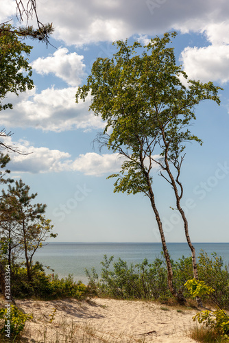 Fototapeta Naklejka Na Ścianę i Meble -  A place to relax by the sea, clean golden dune sand, calm sea, clear sky with white clouds