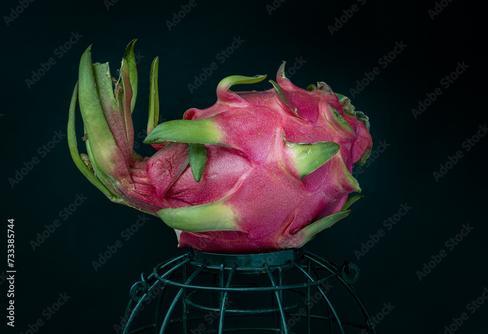 A lonely dragon fruit or pitaya put on a green cage on Dark background. Space for text, Selective focus.
