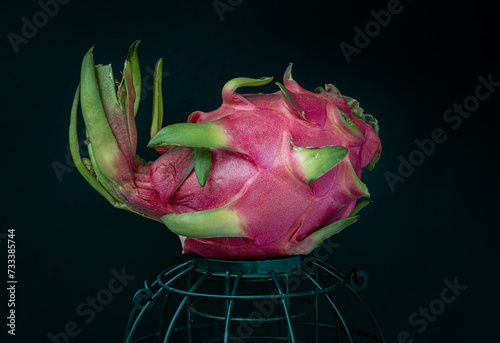 Obraz na płótnie A lonely dragon fruit or pitaya put on a green cage on Dark background. Space for text, Selective focus. w salonie