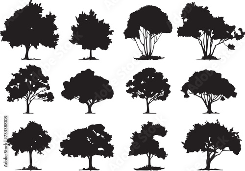 Set Trees. Hand drawn vector illustration 