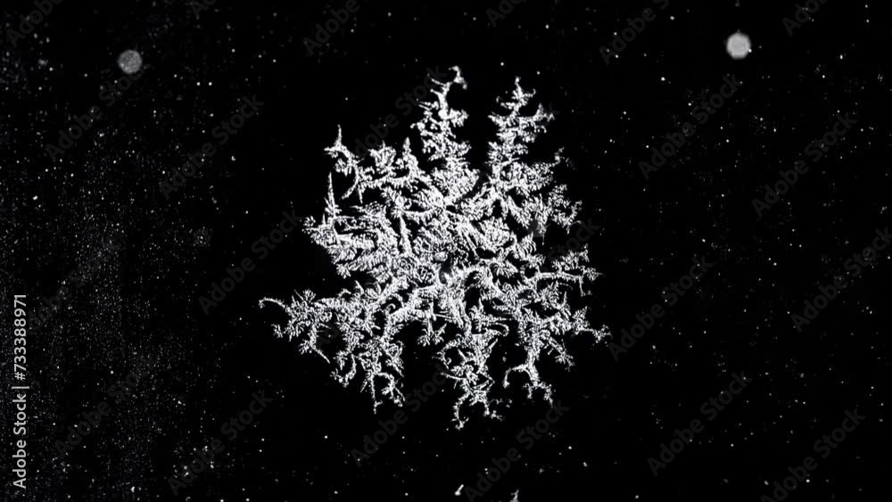 Timelapse of Frostwork decorative ice crystals growing on a black winter window Timelapse of Frostwork decorative ice crystals growing on a black winter window