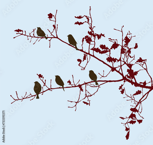 Vector illustration of silhouettes sparrows birds flock sitting on oak tree branches on autumn day