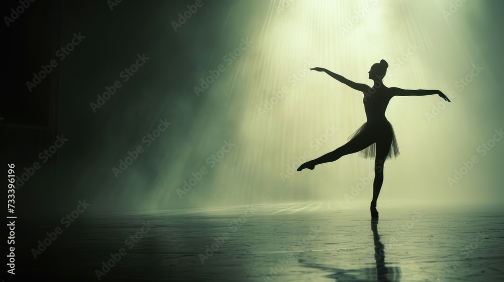a ballerina standing in the middle of a dance floor with her arms outstretched in front of her head and arms outstretched in the air, in front of a foggy background. a ballerina standing in the middle of a dance floor with her arms outstretched in front of her head and arms outstretched in the air, in front of a foggy background.