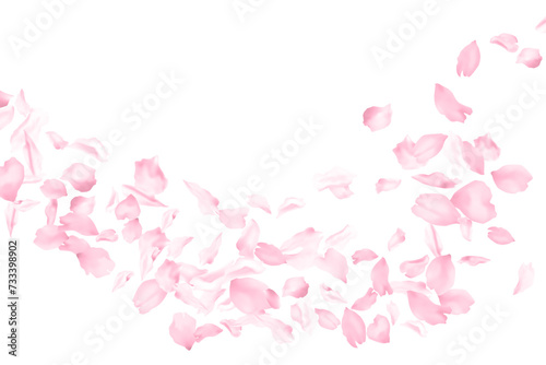 Cherry blossom flying petals flower parts falling with wind isolated on white. Vector Valentine's Day background illustration. Sakura blossom pink flower petals. Brooming peach tree elements. photo