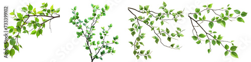 branches with green leaves Hyperrealistic Highly Detailed Isolated On Transparent Background Png File