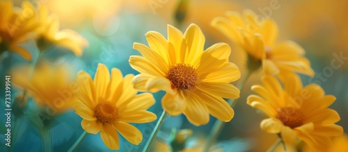 Yellow Flowers Always Bring a Gorgeous Burst of Color