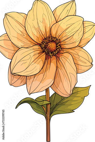 Color photo of a simple logo of a dahlia.