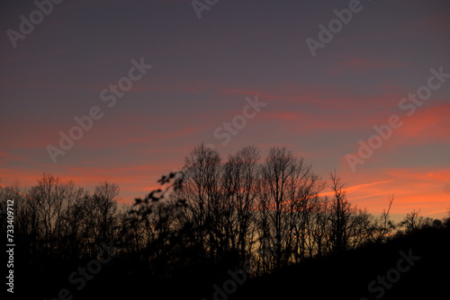 Silhouette of leafless trees in winter with orange sunset sky horizontally