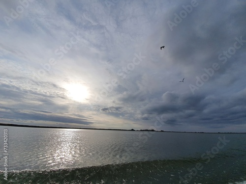 Ripples of Serenity: Reflections of the Delta in the Sunset