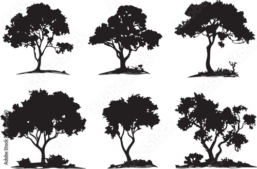 Set Trees. Hand drawn vector illustration 