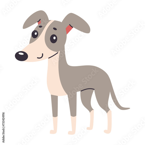Cute Chuhuahua dog. Flat vector illustration in children s style. Vector illustration